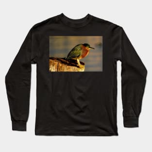 Guatemala - Lago Atitlan, Oiseau Long Sleeve T-Shirt